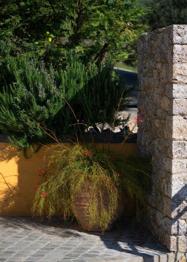 Infinity Villa Kato Pavliana Dış mekan fotoğraf