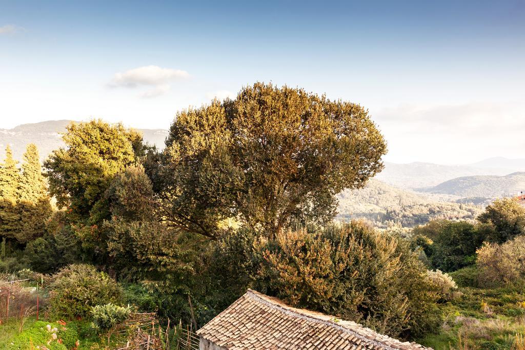 Infinity Villa Kato Pavliana Dış mekan fotoğraf